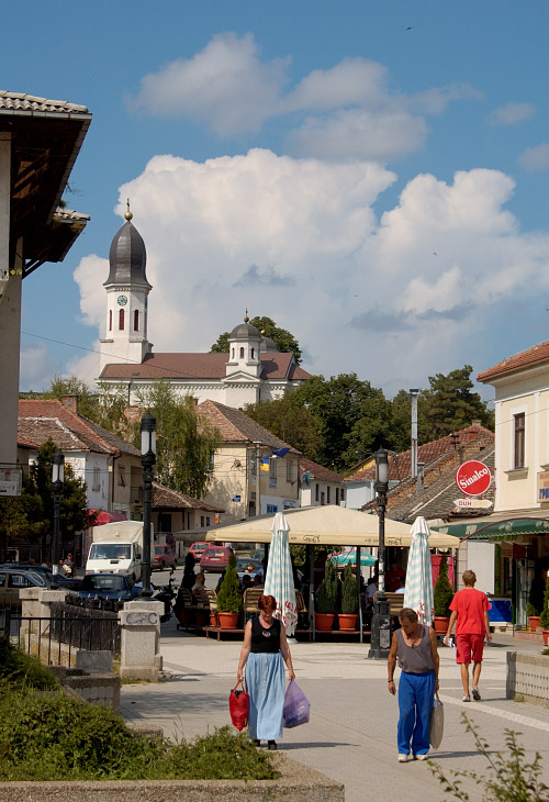 d70a_6038.jpg